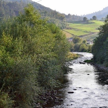 Río en Bustiello de Paredes