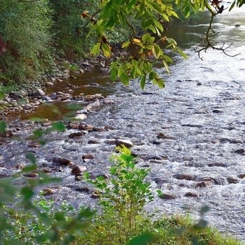 Naturaleza en Valdés